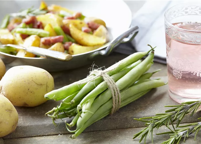 Gemüse aus eigenem Anbau: frischer Geschmack für Genießer Gemüse aus eigenem Anbau: frischer Geschmack für Genießer