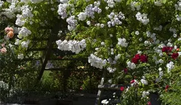 1A Garten Eickelmann