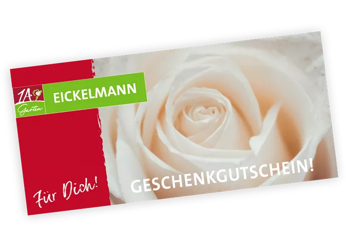 Gutschein Rosen