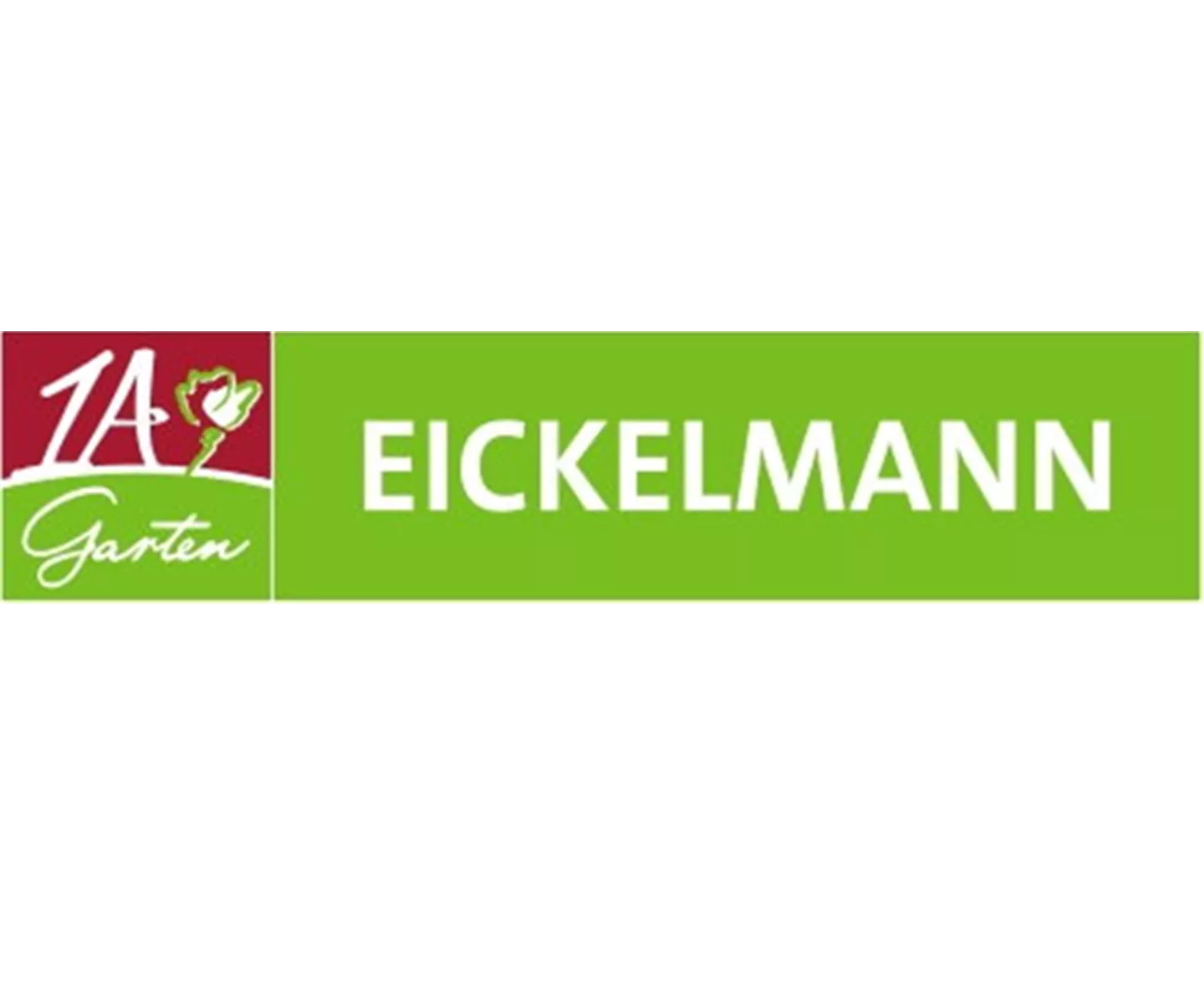 Feldsalaternte im Winter