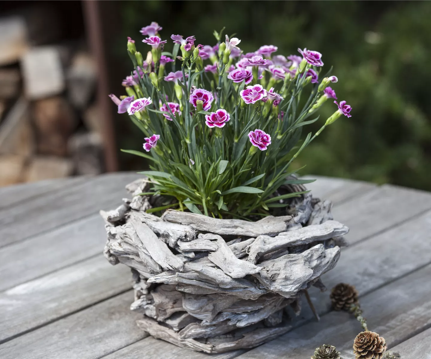 Die Auswahl von Trauerblumen und Grabbepflanzung