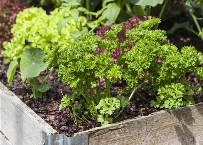 Fruchtfolge aufzeichnen Fruchtfolge aufzeichnen