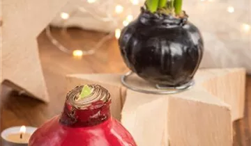 1A Garten Eickelmann