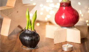 1A Garten Eickelmann