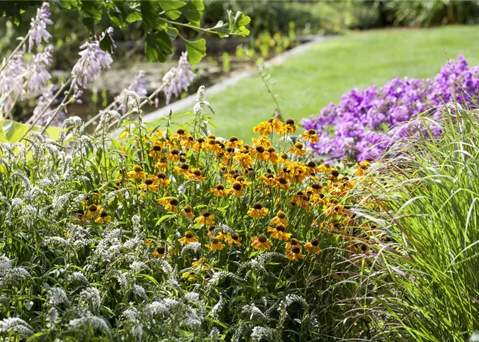 Frühjahrsputz im Staudenbeet