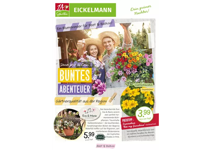 Beilage Beet/Balkon
