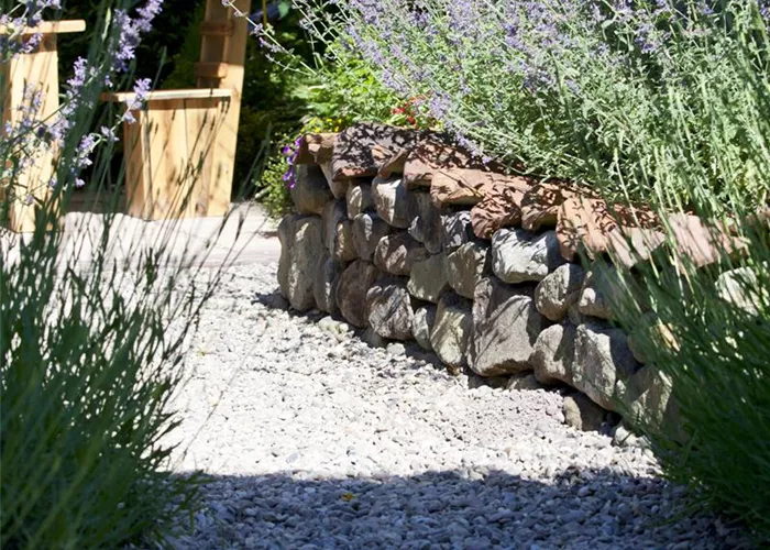 Pflastersteine und Wege – Richtige Pflege bringt lange Freude Pflastersteine und Wege – Richtige Pflege bringt lange Freude